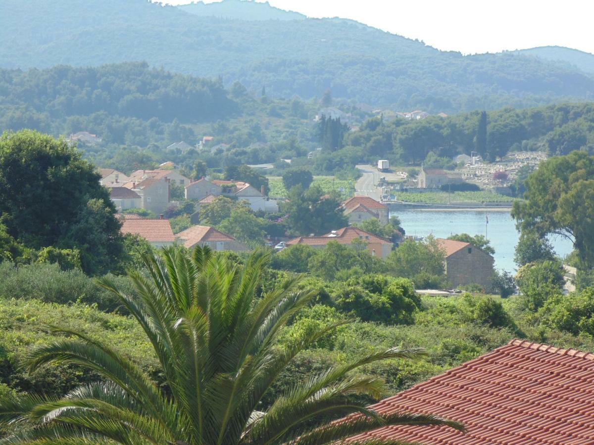 Apartment Stone House Didini Dvori *